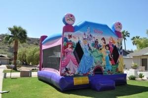 Princess Combo Waterslide Princess Combo Waterslide