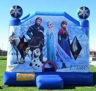 Frozen Combo Waterslide Frozen Combo Waterslide