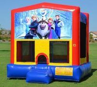 Frozen Modular Bouncer Frozen Modular Bouncer