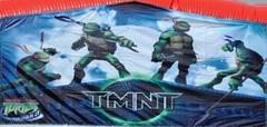 Teenage Mutant Ninja Turtle Panel Teenage Mutant Ninja Turtle Panel